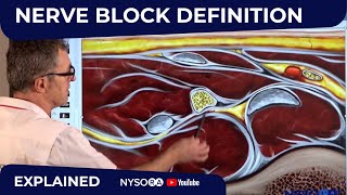 Nerve block definition  Regional anesthesia Crash course with Dr Hadzic [upl. by Hakon]