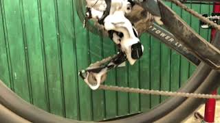 Degreasing a chain in 60 seconds [upl. by Will854]