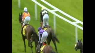 King George VI And Queen Elizabeth Stakes 2012DanedreamAndrasch Starke [upl. by Anallij]