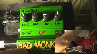 Digitech Bad Monkey Tube Overdrive [upl. by Raddi]