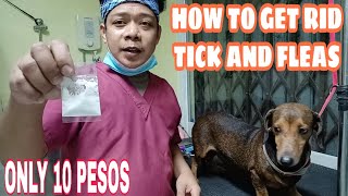 HOW TO GET RID OF TICKS AND FLEAS  MABISANG PANTANGGAL NG GARAPATA [upl. by Ballou]