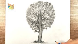 comment dessiner un arbre réaliste au crayon [upl. by Delinda]