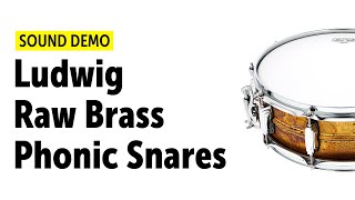 Ludwig Raw Brass Phonic Snares  Sound Demo [upl. by Llerreg]