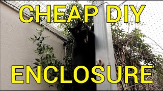 How to Build a Massive and Cheap Cat Enclosure with Basic Tools  DIY Tutorial [upl. by Mmada]