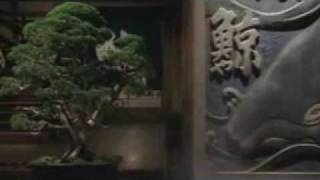 YAMA NO ANATA 2008 Theatrical Trailer [upl. by Corb]