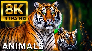 TOP 50 BEAUTIFUL ANIMALS  4K HDR 120fps Dolby Vision with Animal Sounds Colorfully Dynamic [upl. by Hselin]