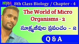 The World of Micro Organism  2  Q amp A  8th Class Biology  Chapter  4  Nivas Info [upl. by Nilak]