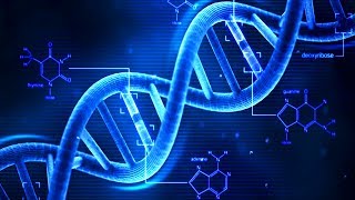 DNA  What is DNA  Basics of DNA [upl. by Atirec]