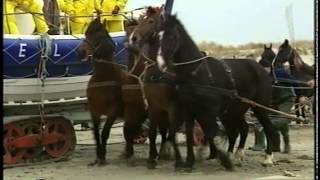 Paarden Reddingboot Ameland [upl. by Phylis]