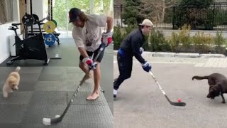 NHL Players StickHandling Against Their Dogs [upl. by Sibbie340]