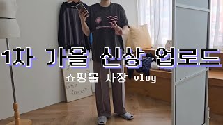 쇼핑몰 사장 vlog  주문 0건이지만 울지않아  1차 가을 신상 업로드ing  동대문 사입  신상마켓  포장 돌돌이 [upl. by Anirdnajela]