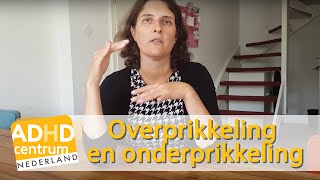 Overprikkeling en onderprikkeling  ADHD centrum Nederland [upl. by Notyal]