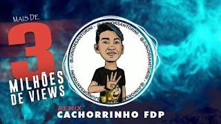 Cachorrinho Meme Remix  Junior Santorini Áudio Oficial [upl. by Zephaniah586]