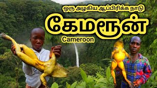 கேமரூன் நாட்டை பற்றி தெரியுமா  Interesting Facts About Cameroon In Tamil  African Country [upl. by Enomys]