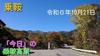 紅葉が見頃になった乗鞍高原。乗鞍高原全体が紅葉に包まれています。一昨日の気温低下の影響なのでしょうか、秋本番です。大楓の紅葉のピークも、もう少しです。（20241021） [upl. by Aluor]