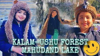 Aayat Arif  KalamUshu forestMahudand Lake  Vlog [upl. by Edrahc252]