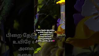 💔💔pirai thedum iravile song lyrics in tamil  whatsappstatus  4K video tamilsong Haran View [upl. by Bria]