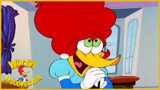 Woody Woodpecker Show  Aunt Pecky  1 Hour Compilation  Cartoons For Children [upl. by Kennith]