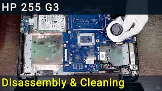 HP 255 G3 Disassembly and Fan Cleaning Guide [upl. by West]