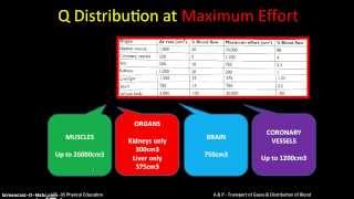 AampP CV System  Distribution of Blood or Vascular Shunt Mechanism 8 [upl. by Ierna]