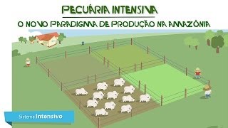 Pecuária Intensiva Novo Paradigma de Produção da Amazônia IPAM Amazônia  legendado em inglês [upl. by Gnep304]