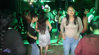 A MOVER EL CHIKISTRIKIS amp LA ABEJA MIOPE  ORGANO JUVENTUD MIXTECO EN VIVO MARISCALA DE JUAREZ [upl. by Alexa611]