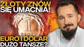 DLACZEGO ZŁOTY ZYSKUJE DOLAR i EURO najtańsze OD LAT BizON [upl. by Landis]