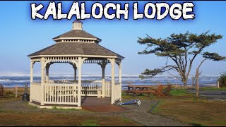 Kalaloch Lodge  Oceanside Retreat Cabin Review amp Sunset Beach Exploration  Washington [upl. by Eppilihp]