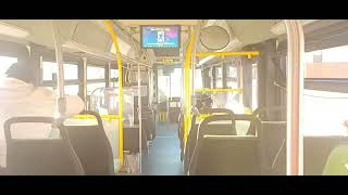 Ride on CTfastrak 2014 NewFlyer XDE40 Xcelsior 1441 on Route 121 Outbound [upl. by Yanetruoc]