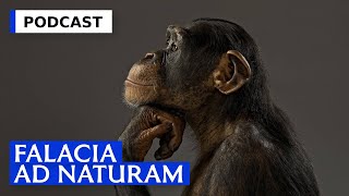 Falacia Ad Naturam  Podcast [upl. by Iman]