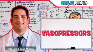 Vasopressors Inodilators Inopressors Pure Vasopressors Methylene Blue Midodrine [upl. by Moynahan134]