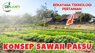 Cuma Butuh 40 Hari  Sulap Lahan Tandus Menjadi Sawah Palsu‼️Rekayasa Pertanian  UPLAND Project [upl. by Novikoff532]