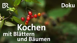 SelbstversorgerMenü aus dem Wald  Kochen mit Blättern und Früchten  Freizeit  Doku  BR [upl. by Ialohcin]