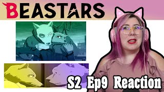 Beastars Season 2 OpeningEnding REACTION [upl. by Enida]