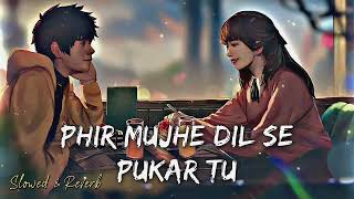 Instagram Trending Song Phir Mujhe Dil Se Pukar Tu  Latest Hindi Songs 2021  Mohit Gaur Lofi Song [upl. by Ambert]