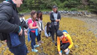 Hiking Tongass National Forest in Sitka Alaska [upl. by Neelcaj]