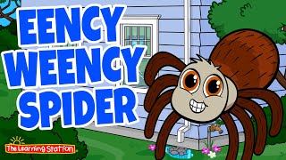 Itsy Bitsy Spider is Eency Weency Spider ♫ Popular Nursery Rhymes ♫ by The Learning Station [upl. by Froehlich844]