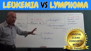 Difference Between Leukemia vs Lymphoma🩺 [upl. by Enyallij]