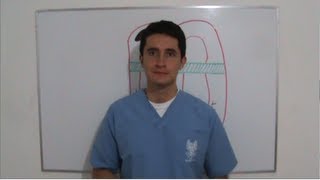 CARDIOLOGÍA  GENERALIDADES PARTE 14 Curso Completo Ver Descripción [upl. by Haroun]