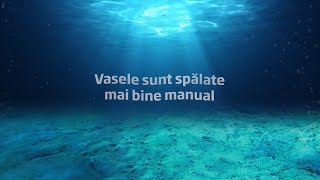 MIT VASELE SUNT SPALATE MAI BINE MANUAL [upl. by Tavis]