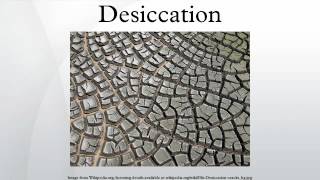 Desiccation [upl. by Lledra]