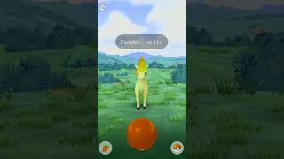 pokemon sort Sandygast 💩💩💩💩💩and ponyta🐎🐎🐎🐎🐎Catchpokemon sort [upl. by Brant]