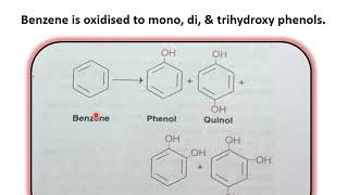 Xenobiotics in hindi [upl. by Aicinad]