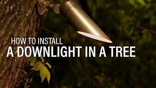 How to Install Landscape Lighting  Mounting a Downlight In a Tree [upl. by Drofla]