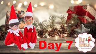 Elf on the Shelf Day7 ║Henney and Randys Adventure 2021 ║JoshampSarah ║HalukayTV [upl. by Doscher747]