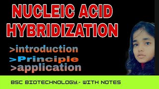 Nucleic acid hybridization Hindi  dna hybridization  southern hybridization  biotechnology [upl. by Chelsae]