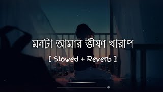 Monta Amar Vison Kharap  Slowed  Reverb   Bangla Aesthetic Song  Taj Shah AudioText [upl. by Ecnerual535]