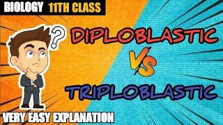 Diploblastic and Triploblastic Organization  XI BIOLOGY  SUMIT CHOUHAN TUTORIALS [upl. by Attiuqram562]