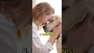 5 MindBlowing Dog Facts You Didnt Know [upl. by Dennison]