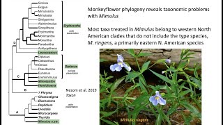 Biodiversity Challenges Module 4 Nomenclatural rules impact taxonomy [upl. by Sorel789]